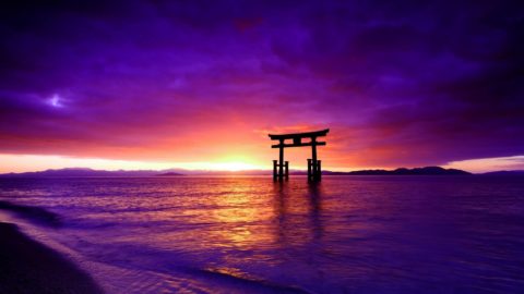 「和多志を生きる」 イノチの樹