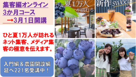 【集客編オンライン3か月コース】成幸するブルーベリー農園講座シリーズ